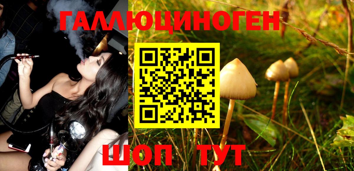 Псилоцибиновые грибы GOLDEN TEACHER Луховицы