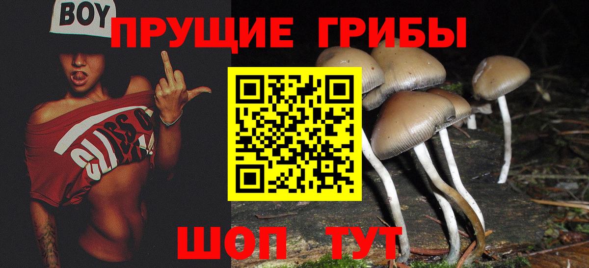 Луховицы  Галлюциногенные грибы прущие грибы  Вход с VPN  Галлюциногенные грибы прущие грибы 